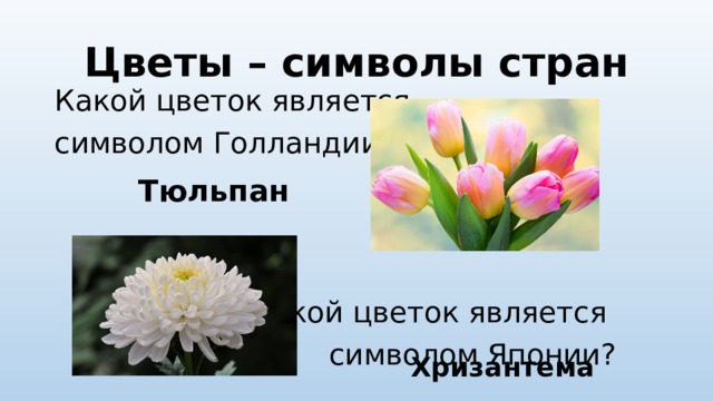 Какой цветок является символом праздника день семьи. Цветы символы стран.