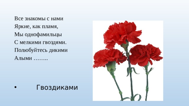 все знакомы с нами яркие как пламя мы однофамильцы с мелкими гвоздями полюбуйтесь дикими алыми