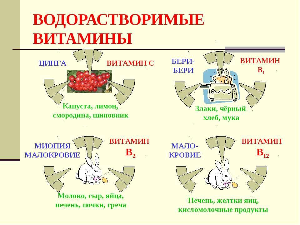 Витамины схема биология