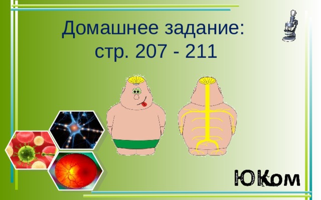 Домашнее задание:  стр. 207 - 211  