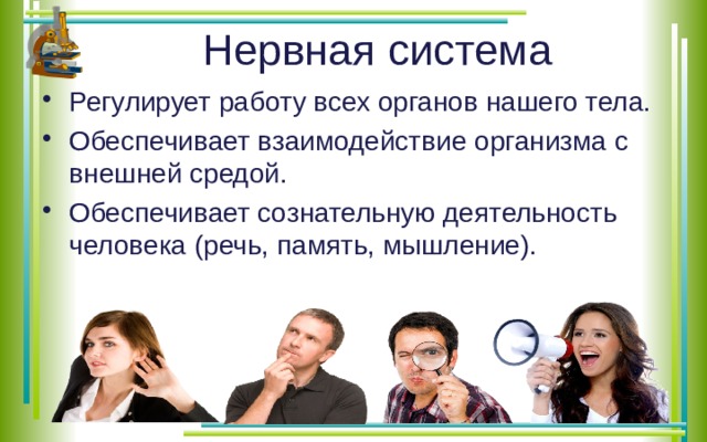 Нервная система Регулирует работу всех органов нашего тела. Обеспечивает взаимодействие организма с внешней средой. Обеспечивает сознательную деятельность человека (речь, память, мышление). 
