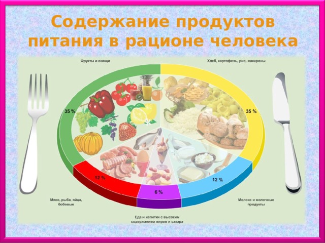 Содержание продуктов питания в рационе человека 