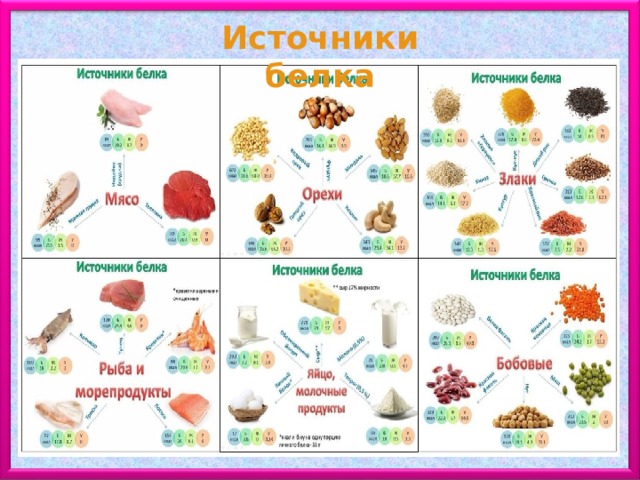 Источники белка 
