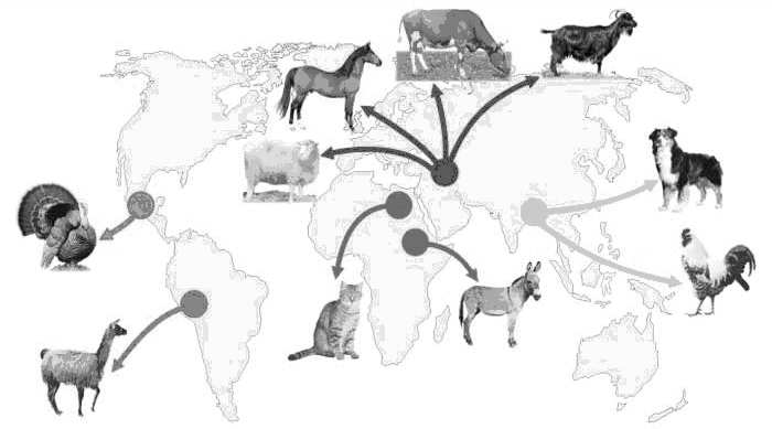 Центры происхождения животных карта