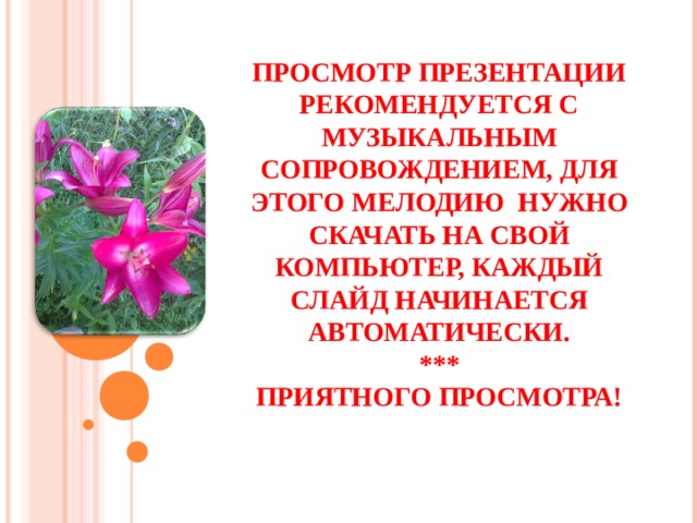 ПРОСМОТР ПРЕЗЕНТАЦИИ РЕКОМЕНДУЕТСЯ С МУЗЫКАЛЬНЫМ СОПРОВОЖДЕНИЕМ, ДЛЯ ЭТОГО МЕЛОДИЮ НУЖНО СКАЧАТЬ НА СВОЙ КОМПЬЮТЕР, КАЖДЫЙ СЛАЙД НАЧИНАЕТСЯ АВТОМАТИЧЕСКИ.  ***  ПРИЯТНОГО ПРОСМОТРА! 