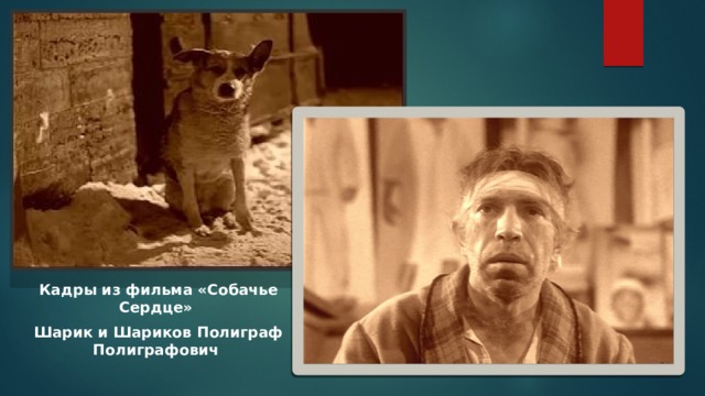 Презентация собачье сердце 8 класс