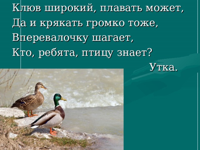 Презентация праздник птиц 1 класс школа россии