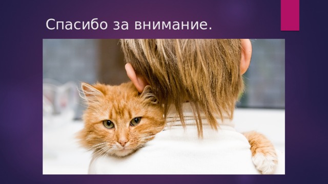 Спасибо за внимание. 