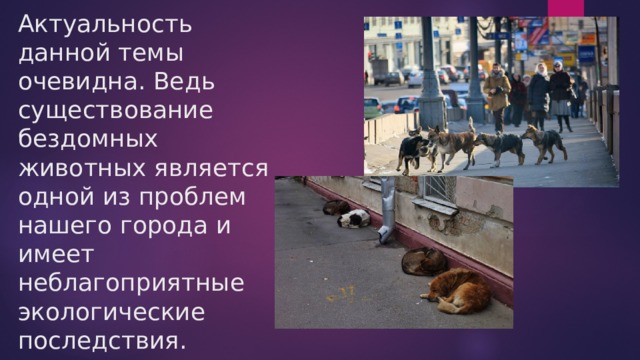 Актуальность данной темы очевидна. Ведь существование бездомных животных является одной из проблем нашего города и имеет неблагоприятные экологические последствия.   