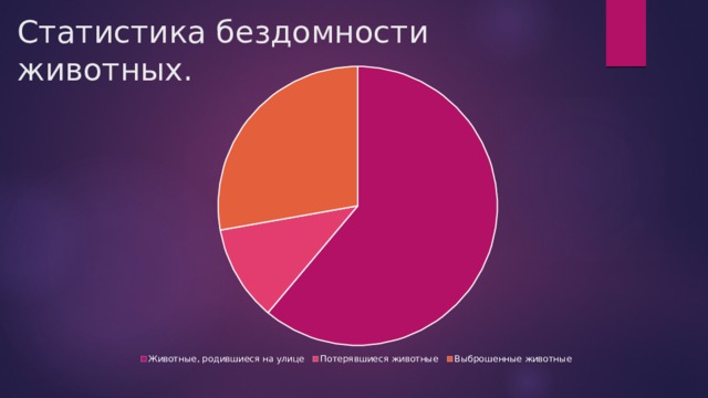 Статистика бездомности животных. 
