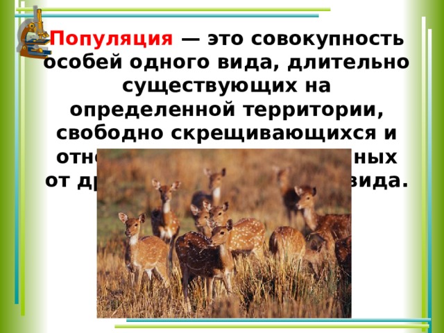 Особь вид популяция. Совокупность особей одного вида. Совокупность особей одного вида на определенной территории. Популяция это совокупность. Популяции совокупность свободно скрещивающихся особей одного вида:.