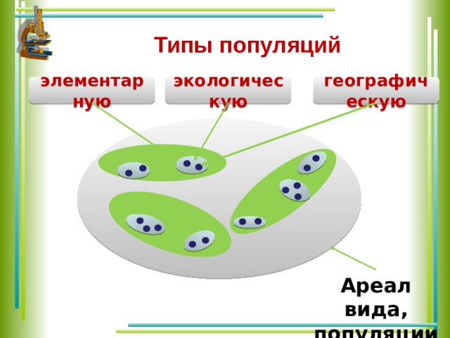 Типы популяций экологическую географическую элементарную Ареал вида, популяции 