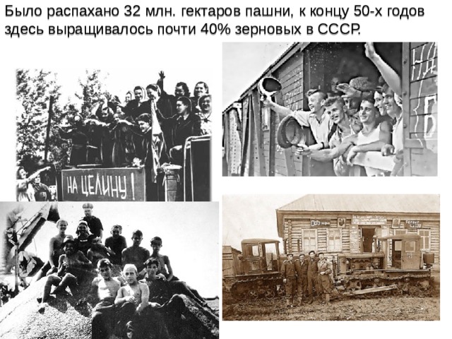 Было распахано 32 млн. гектаров пашни, к концу 50-х годов здесь выращивалось почти 40% зерновых в СССР. Валовой сбор зерна увеличился в 1953-1956 гг. с 82,5 до 125 млн. тонн. 