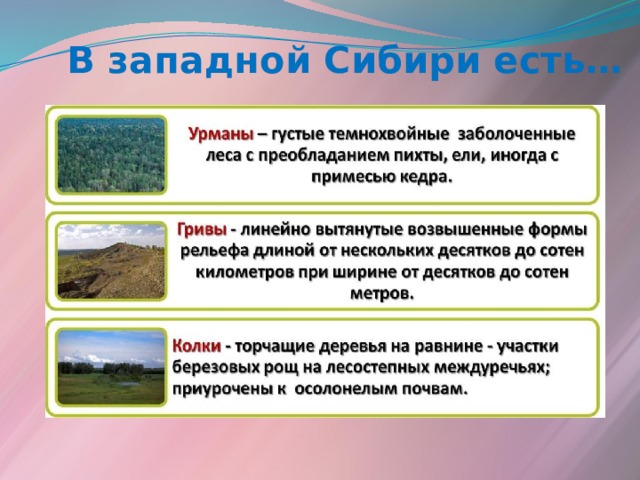 Природные ресурсы западно сибирской равнины 8 класс. Почвы Западно сибирской равнины 8 класс. Типы почв Западной Сибири. Строение почв Западно сибирской равнины. Типы почв Западно сибирской равнины.