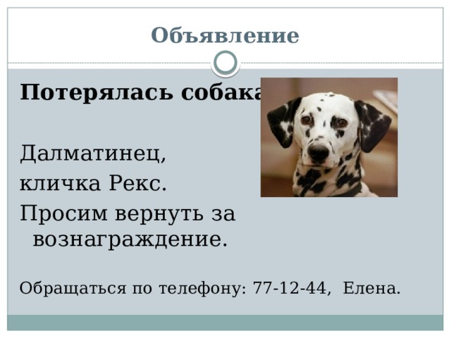 Объявление Потерялась собака Далматинец, кличка Рекс. Просим вернуть за вознаграждение. Обращаться по телефону: 77-12-44, Елена. 