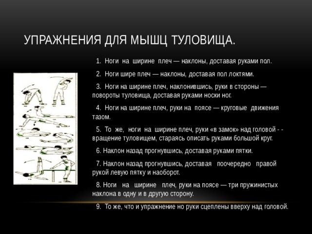 Упражнения для мышц туловища.  1.  Ноги  на  ширине  плеч — наклоны, доставая руками пол.  2.  Ноги шире плеч — наклоны, доставая пол локтями.  3.  Ноги на ширине плеч, наклонившись, руки в стороны — повороты туловища, доставая руками носки ног.  4.  Ноги на ширине плеч, руки на  поясе — круговые  движения тазом.  5.  То  же,  ноги  на  ширине плеч, руки «в замок» над головой - - вращение туловищем, стараясь описать руками большой круг.   6. Наклон назад прогнувшись, доставая руками пятки.  7. Наклон назад прогнувшись, доставая   поочередно   правой рукой левую пятку и наоборот.  8. Ноги   на   ширине   плеч, руки на поясе — три пружинистых наклона в одну и в другую сторону.  9.  То же, что и упражнение но руки сцеплены вверху над головой. 