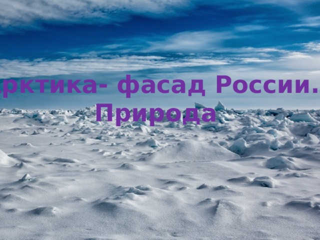 Арктика- фасад России. Природа 