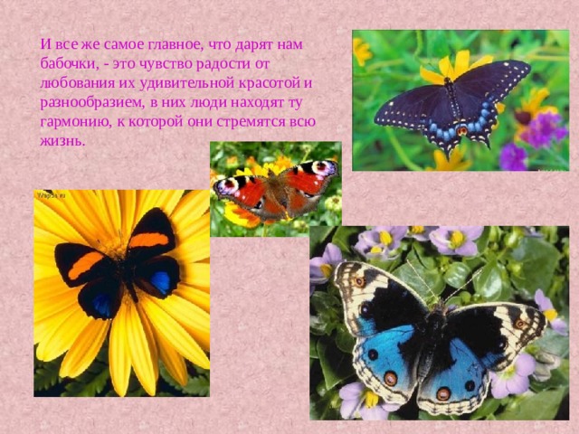 И все же самое главное, что дарят нам бабочки, - это чувство радости от любования их удивительной красотой и разнообразием, в них люди находят ту гармонию, к которой они стремятся всю жизнь. 