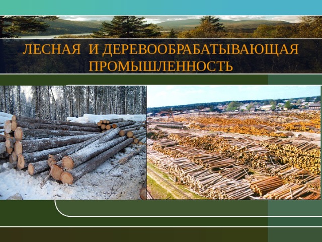 Лесная и деревообрабатывающая страны. Лесная и деревообрабатывающая отрасли. Лесная промышленность и деревопереработка. Деревообрабатывающая промышленность. Отрасли деревообрабатывающей промышленности.