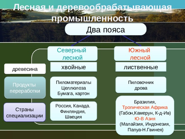 Страны относящиеся к хвойному поясу