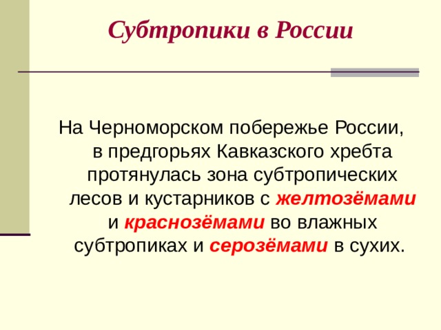 Субтропики в России На Черноморском побережье России,  в предгорьях Кавказского хребта протянулась зона субтропических лесов и кустарников с желтозёмами и краснозёмами во влажных субтропиках и серозёмами в сухих. 