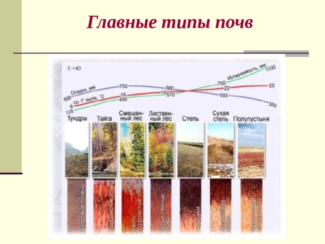 Главные типы почв 