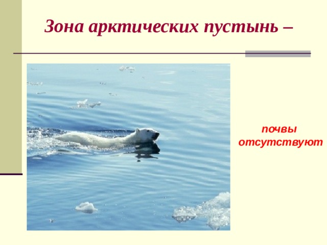 Зона арктических пустынь – почвы  отсутствуют 