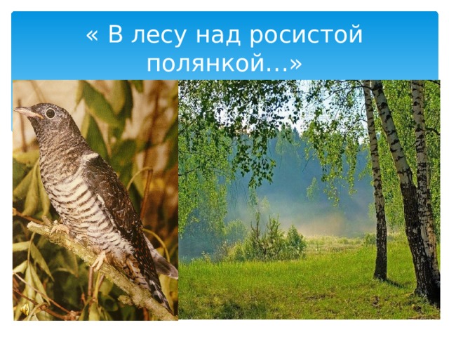 « В лесу над росистой полянкой…» 