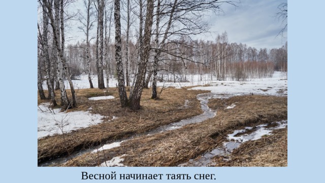 Весной начинает таять снег. 