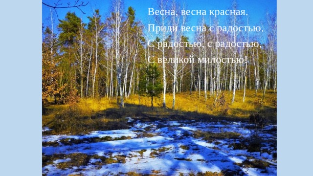 Весна, весна красная. Приди весна с радостью. С радостью, с радостью, С великой милостью! 