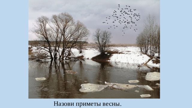 Назови приметы весны. 