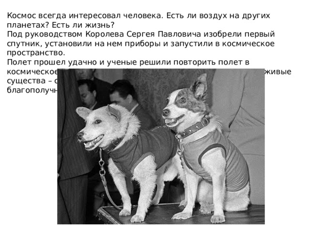 Космос всегда интересовал человека. Есть ли воздух на других планетах? Есть ли жизнь? Под руководством Королева Сергея Павловича изобрели первый спутник, установили на нем приборы и запустили в космическое пространство. Полет прошел удачно и ученые решили повторить полет в космическое пространство. Но на это раз отправили в космос живые существа – собак Белку и Стрелку. Животные после полета благополучно приземлились на Землю. 