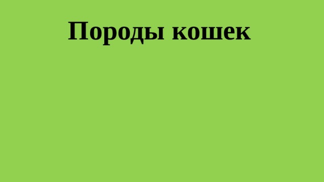 Породы кошек 