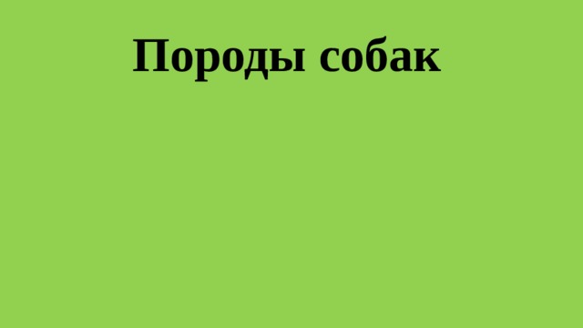 Породы собак 