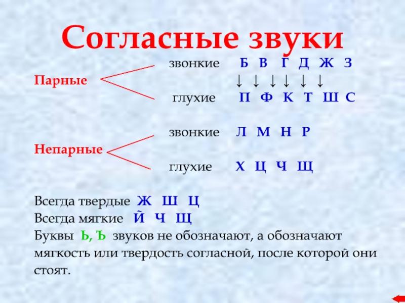 Парные глухие согласные | Орфография