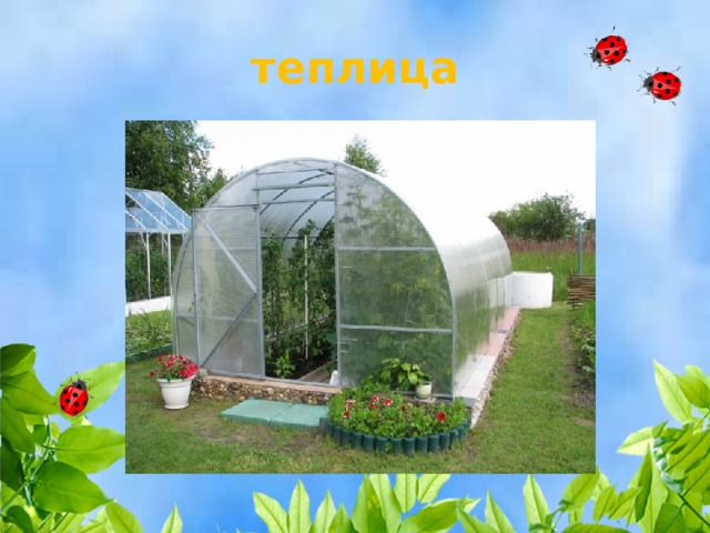 теплица 