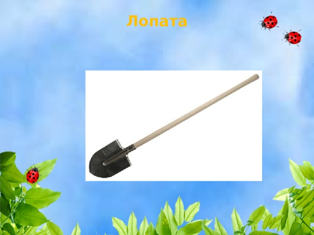 Лопата   
