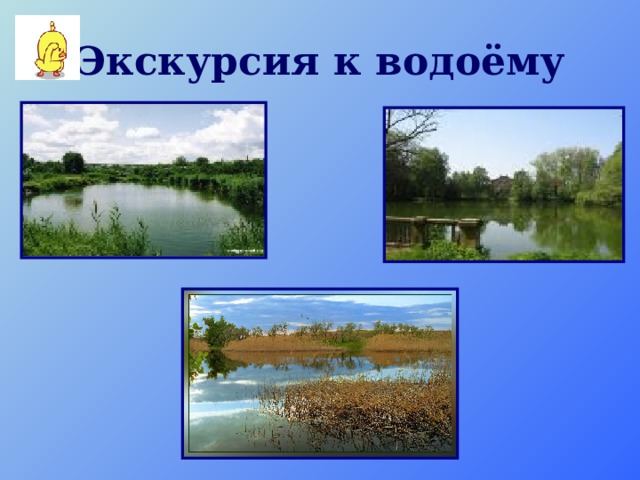Экскурсия к водоёму 