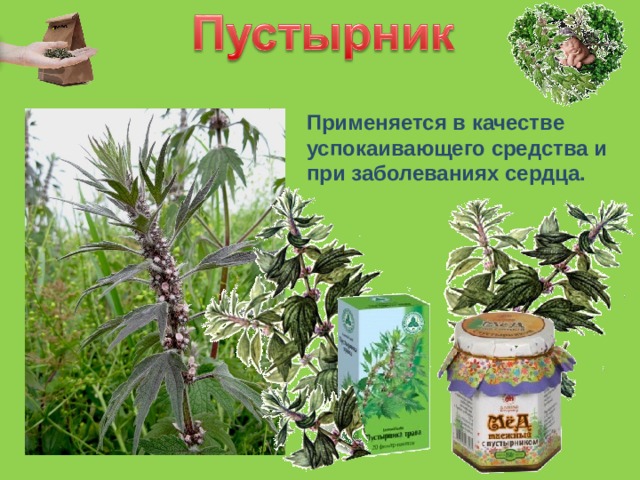 Применяется в качестве успокаивающего средства и при заболеваниях сердца. 
