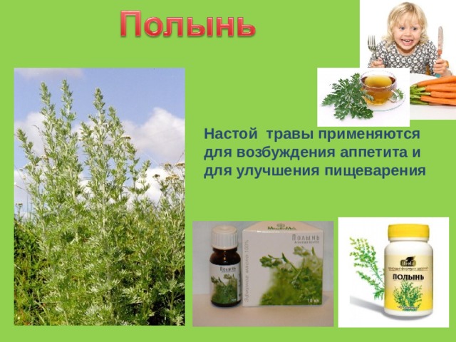 Настой травы применяются для возбуждения аппетита и для улучшения пищеварения 