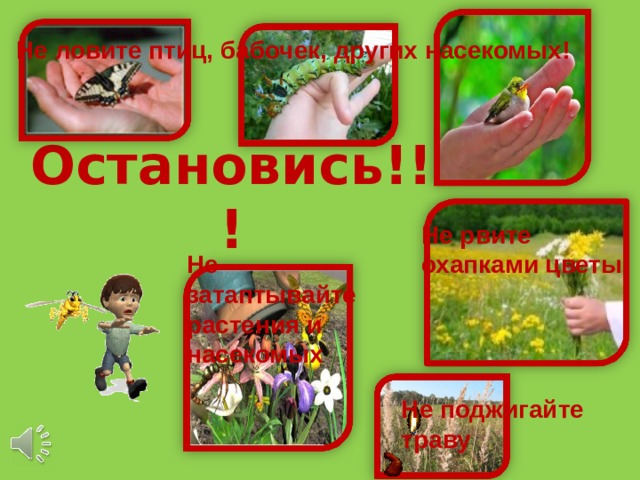 Не ловите птиц, бабочек, других насекомых! Остановись!!! Не рвите охапками цветы Не затаптывайте растения и насекомых Не поджигайте траву 