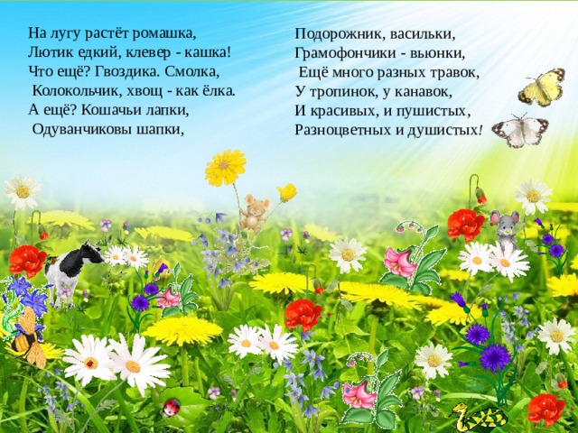 На лугу растёт ромашка,  Лютик едкий, клевер - кашка!  Что ещё? Гвоздика. Смолка,  Колокольчик, хвощ - как ёлка.  А ещё? Кошачьи лапки,  Одуванчиковы шапки,  Подорожник, васильки,  Грамофончики - вьюнки,  Ещё много разных травок,  У тропинок, у канавок,  И красивых, и пушистых,  Разноцветных и душистых !  