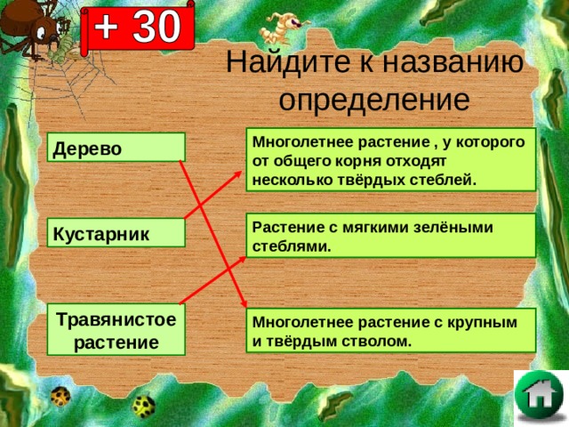 Найдите к названию определение Многолетнее растение , у которого от общего корня отходят несколько твёрдых стеблей. Дерево Растение с мягкими зелёными стеблями. Кустарник Травянистое растение Многолетнее растение с крупным и твёрдым стволом. 