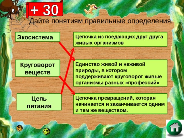 Дайте понятиям правильные определения. Экосистема Цепочка из поедающих друг друга живых организмов Круговорот веществ Единство живой и неживой природы, в котором поддерживают круговорот живые организмы разных «профессий» Цепь питания Цепочка превращений, которая начинается и заканчивается одним и тем же веществом. 