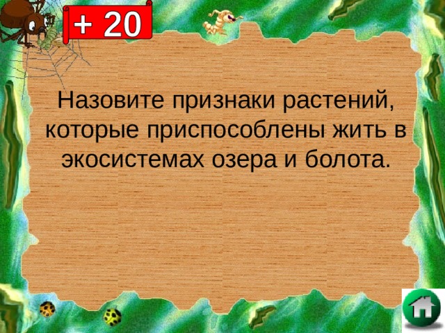 Назовите признаки растений, которые приспособлены жить в экосистемах озера и болота. 