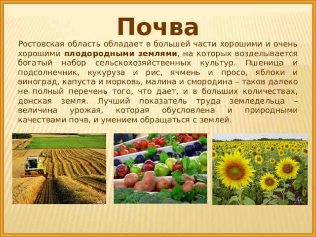 Какой грунт в ростовской области. Почвы Ростовской области. Почвы Ростовской области кратко. Почва Ростовской области 4 класс.