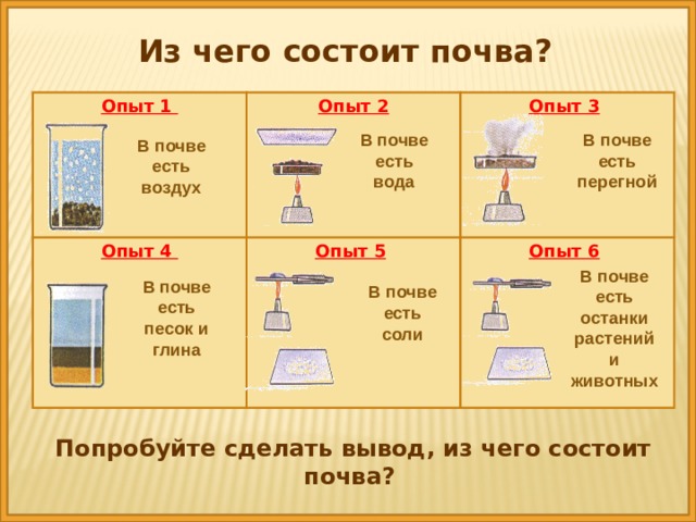 Из чего состоит почва? Опыт 1 Опыт 2 Опыт 4  Опыт 3  Опыт 5  Опыт 6     В почве есть вода В почве есть перегной В почве есть воздух В почве есть останки растений и животных В почве есть песок и глина В почве есть соли Попробуйте сделать вывод, из чего состоит почва? 
