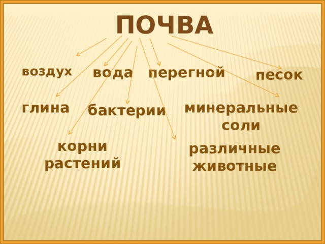 Соль корень. Почва бактерии Минеральные соли. Песок корень. Корень в слове песок.