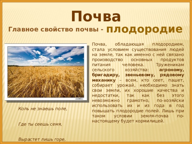 Какой грунт в ростовской области. Почвы Ростовской области. Сведения о почве Ростовской области. Доклад о почве Ростовской области. Основные сведения о почвах Ростовской области.