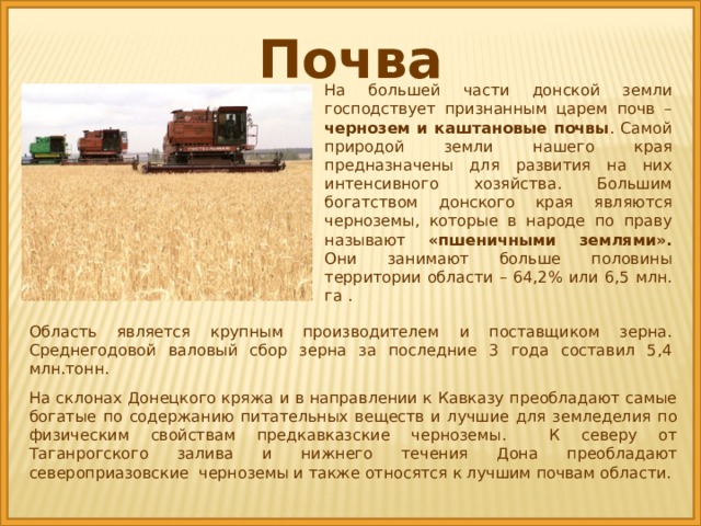 Какой грунт в ростовской области. Почва Ростовской области 4 класс. Почвы Донского края.